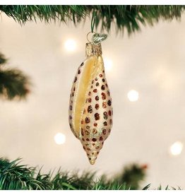 OLD WORLD CHRISTMAS JUNONIA SHELL