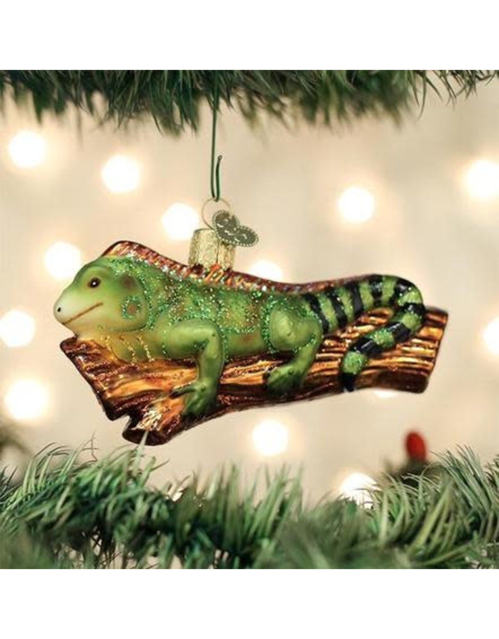 OLD WORLD CHRISTMAS 12540   IGUANA