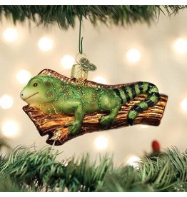 OLD WORLD CHRISTMAS 12540   IGUANA