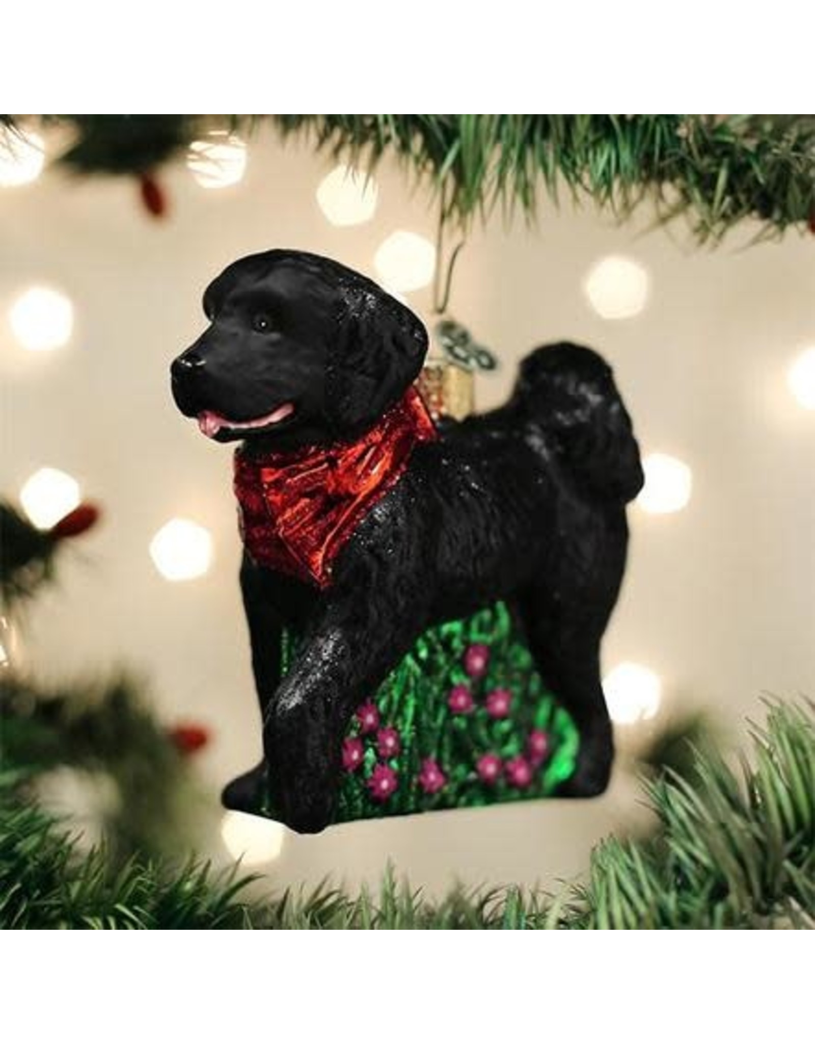 OLD WORLD CHRISTMAS 12560 BLACK DOODLE DOG