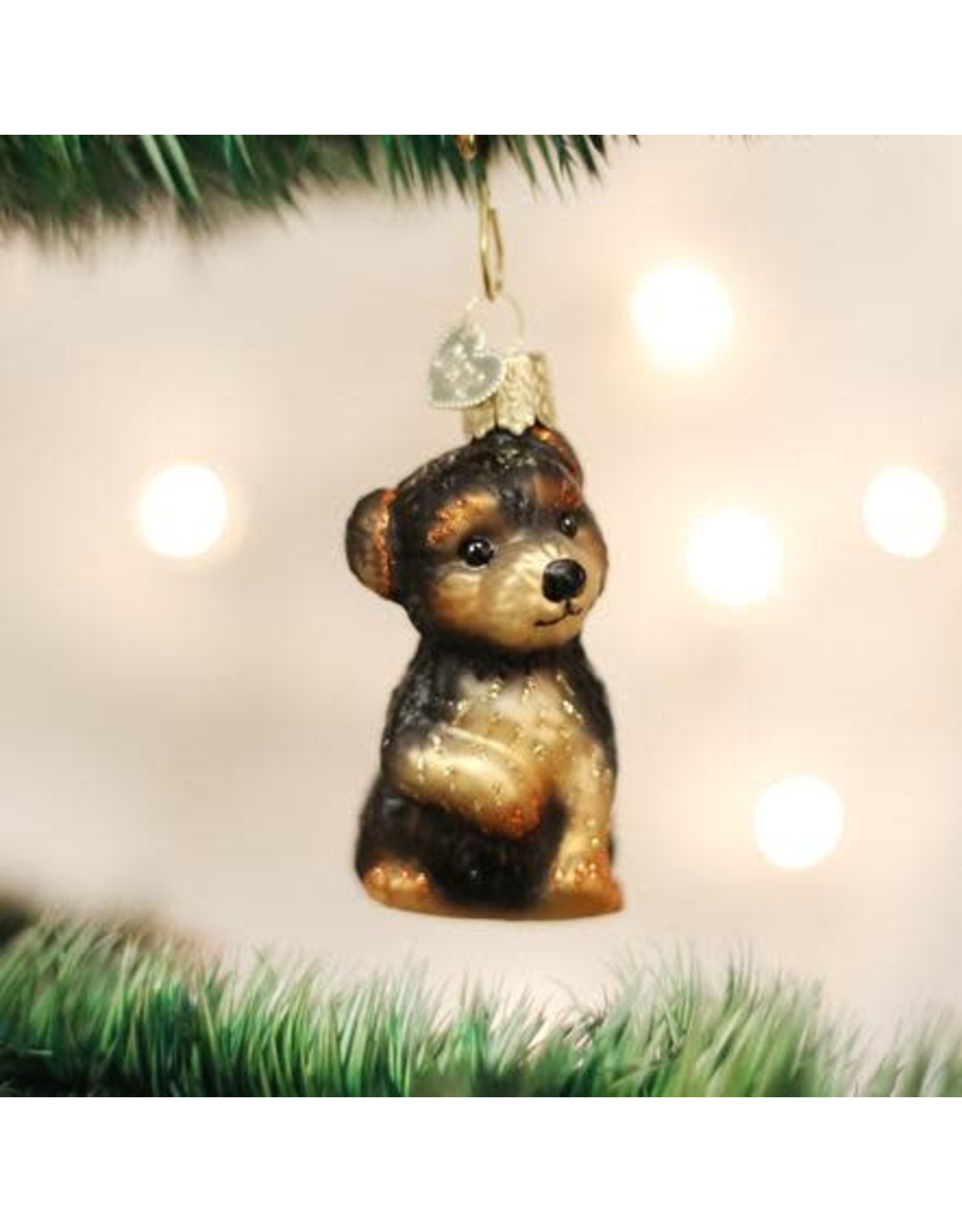 OLD WORLD CHRISTMAS 12348   YORKIE PUPPY
