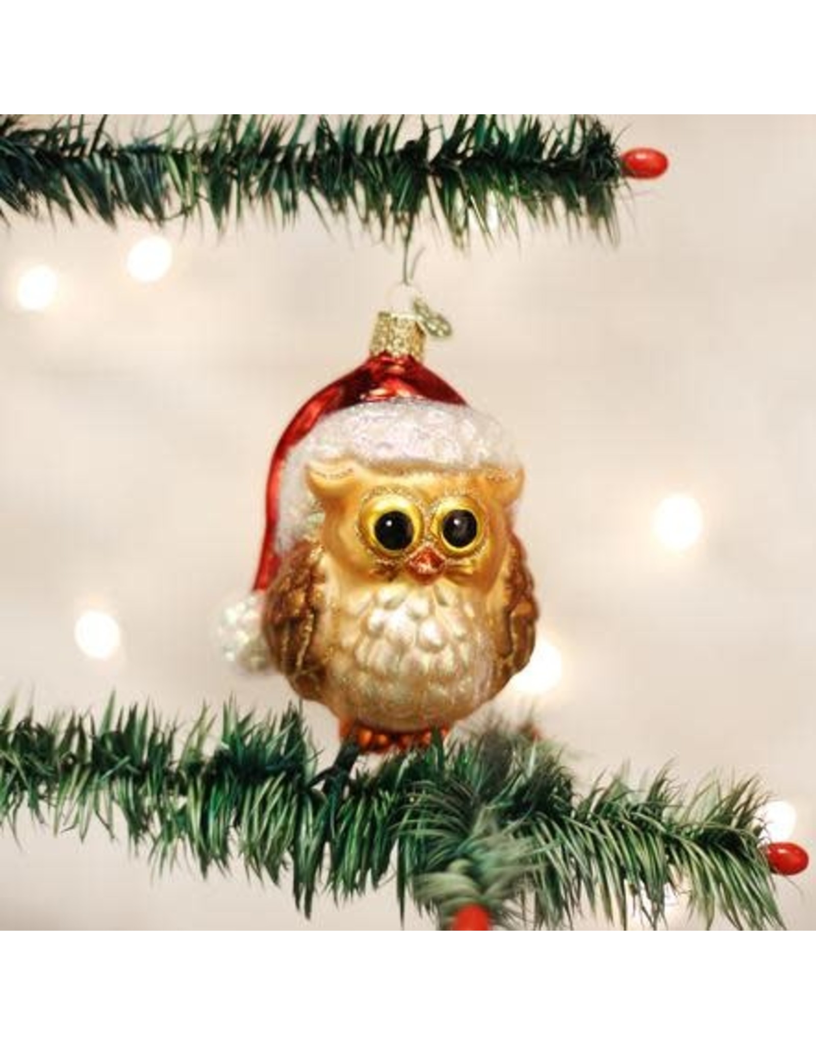 OLD WORLD CHRISTMAS 16098   SANTA OWL