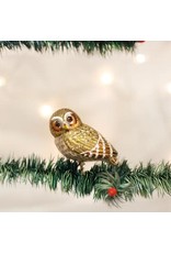 OLD WORLD CHRISTMAS 18067   PYGMY OWL