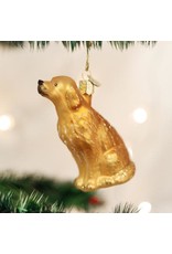 OLD WORLD CHRISTMAS 12282   SITTING GOLDEN