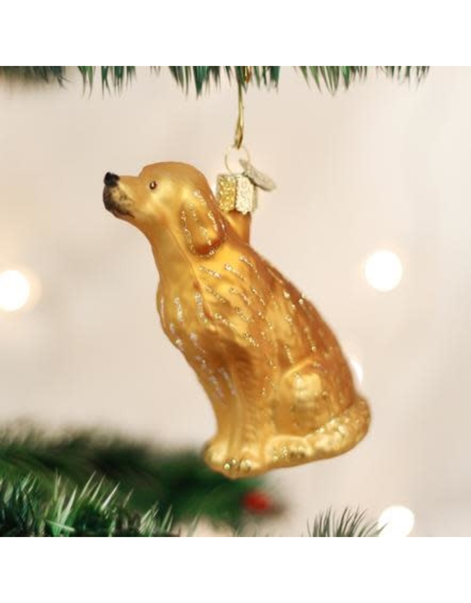 OLD WORLD CHRISTMAS 12282   SITTING GOLDEN