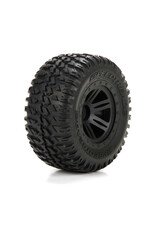 ECX FR/R Tire,Prmnt,Blk Wheel (2):1:10 AMP MT/DB