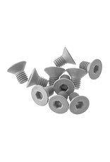 Arrma Flat Head Screw 3x5mm (10)