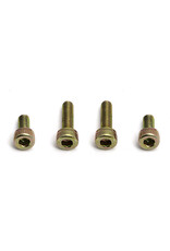 Team Associated 3mm Mounting Screws,Metric