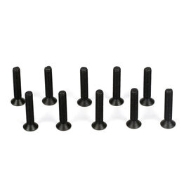 Team Losi Racing Flathead Screw, M3 x 16mm (10)