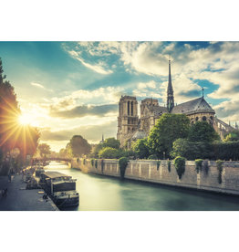 Trefl Notre-Dame sur la Seine
