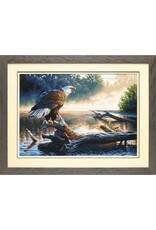 Dimensions EAGLE HUNTER, 20x14