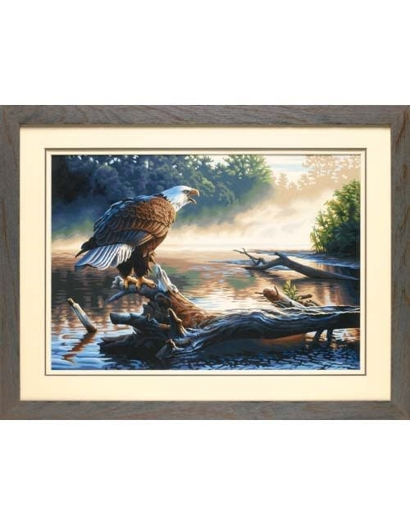 Dimensions EAGLE HUNTER, 20x14