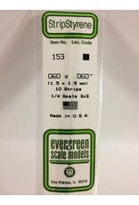 Evergreen STRIPS.060"X.060" (10/PK)