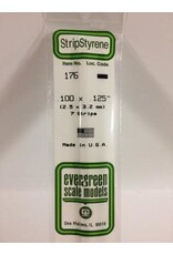 Evergreen STRIPS.100"X.125" (7/PK)