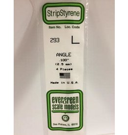 Evergreen ANGLE-.100" (4/PK)