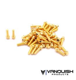 Vanquish Hex Scale GR8 Wheel Screw Kit