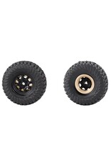 Hot Racing 3.6g Brass Wheel Weights, SCX30