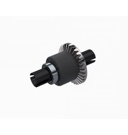 Arrma Assembled Oil Filled Differential 30T 0.8Mod, 3000