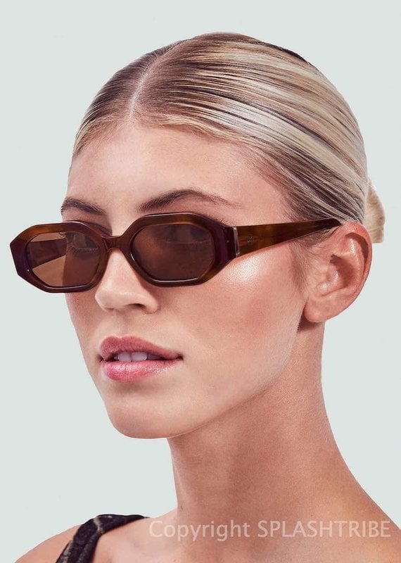 Devon Windsor Rome Sunglasses Tortoise