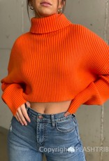Wide Rib Crop Turtleneck Sweater