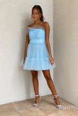 Life Of The Party Tulle Mini Dress
