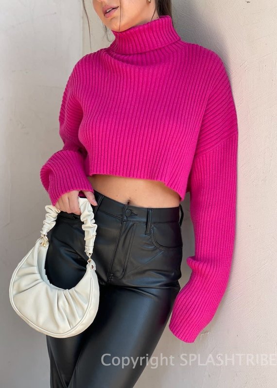 Wide Rib Crop Turtleneck Sweater