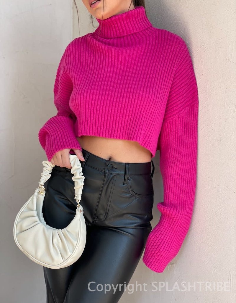 Crop Turtleneck Sweater