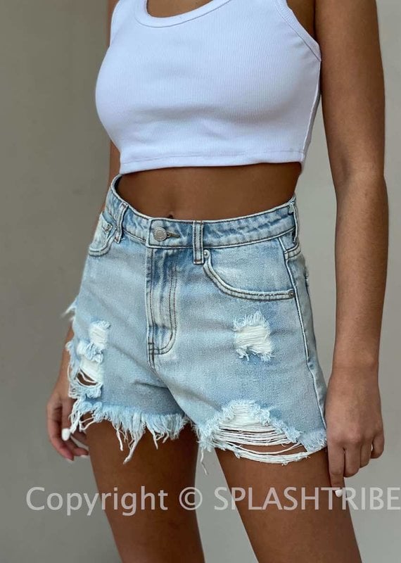 Hayes High Waist Distressed Shorts