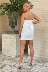 Strapless Mini Dress with Back Bow
