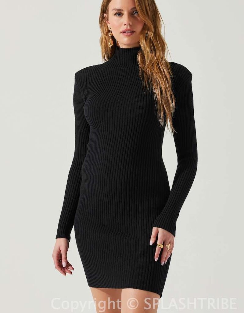 Gwendolyn Turtleneck Sweater Mini Dress