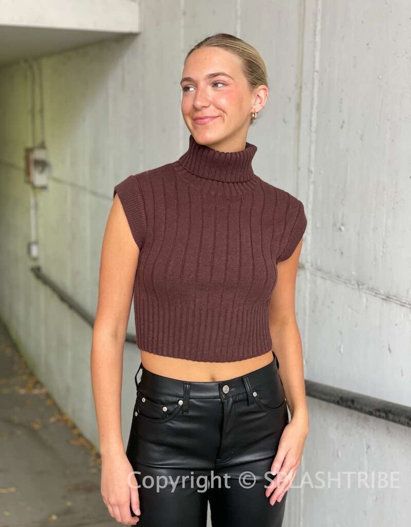 Salma Sleeveless Turtleneck Sweater
