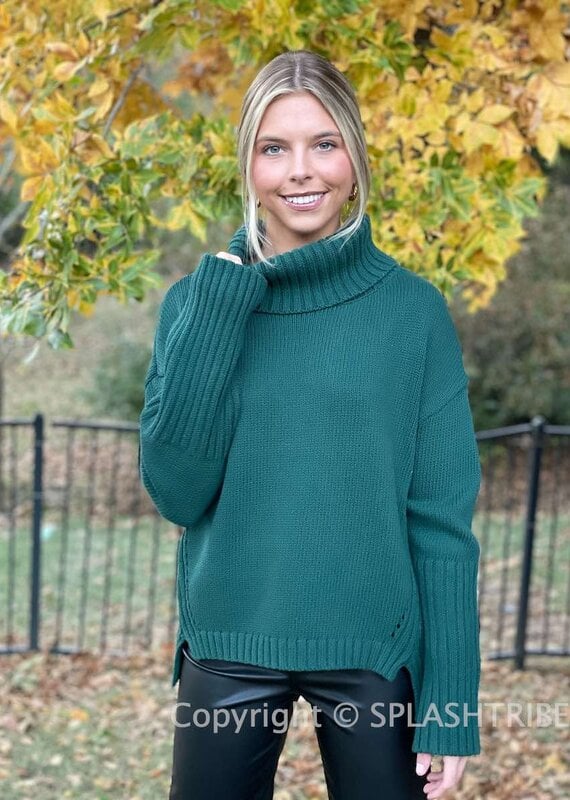 Deena Turtleneck Sweater