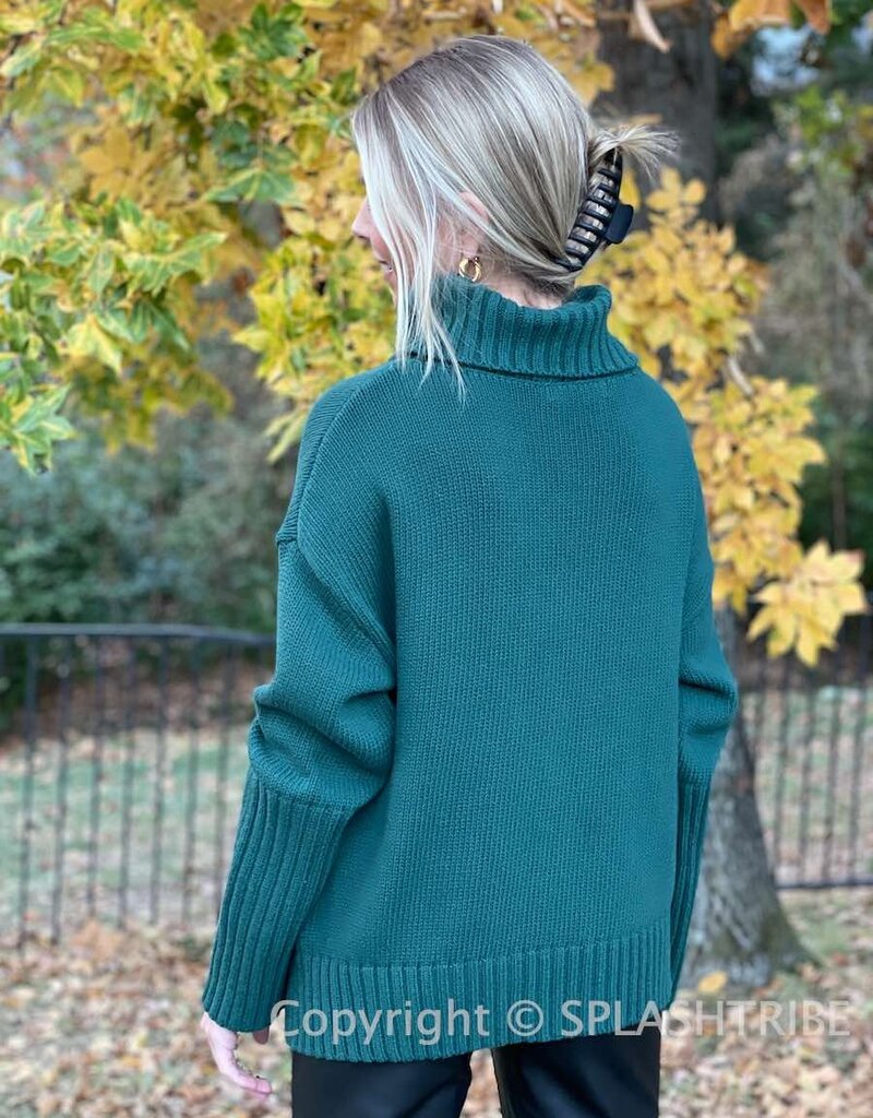 Deena Turtleneck Sweater