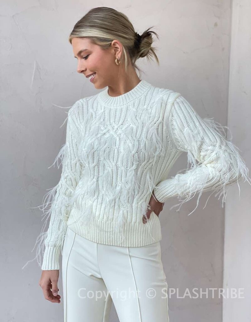 Almeida Feather Embellished Cable Knit Sweater