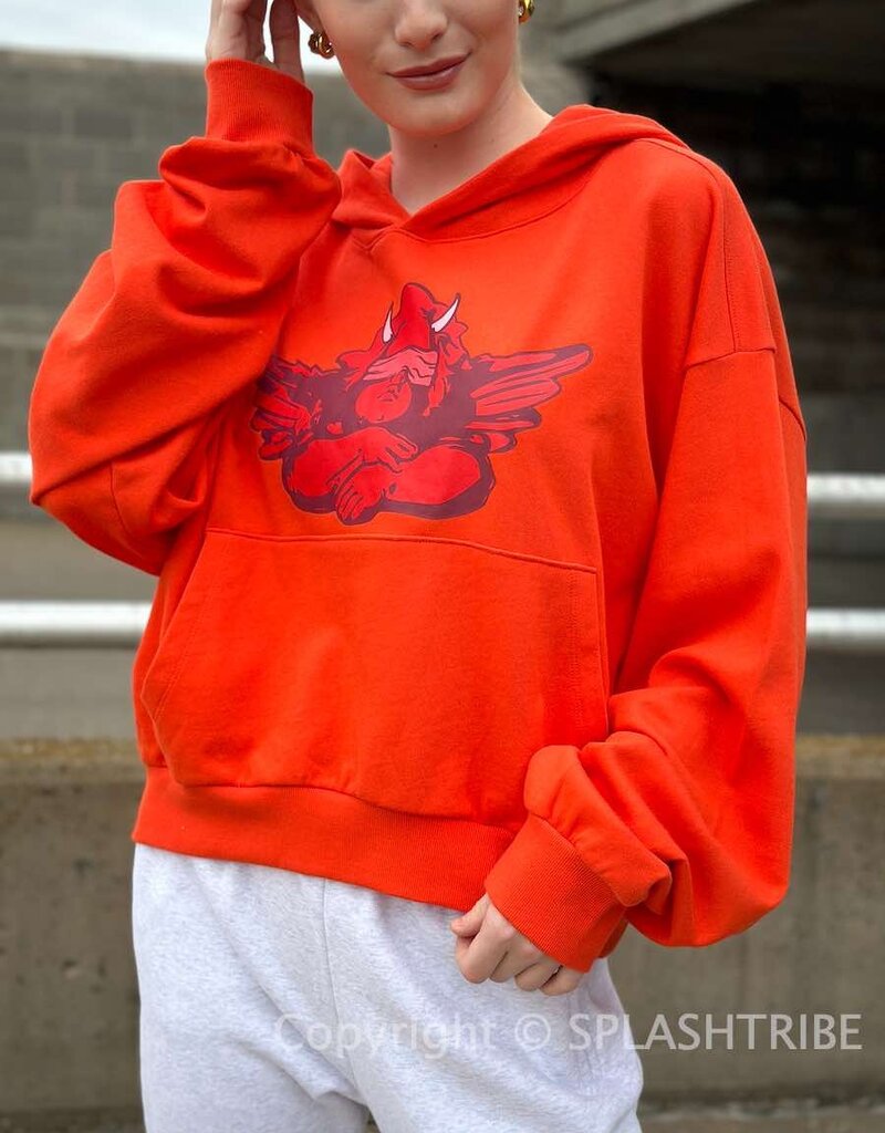 Boys Lie Red Flag Hoodie O/S