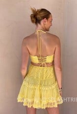 Lace Overlay Halter Cutout Mini Dress