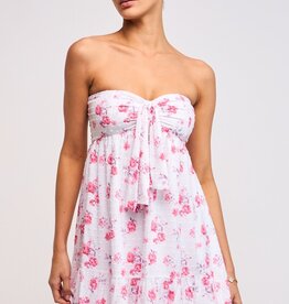 Dove Swiss Dot Floral Mini Dress