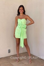 Florida Summer Strapless Dress
