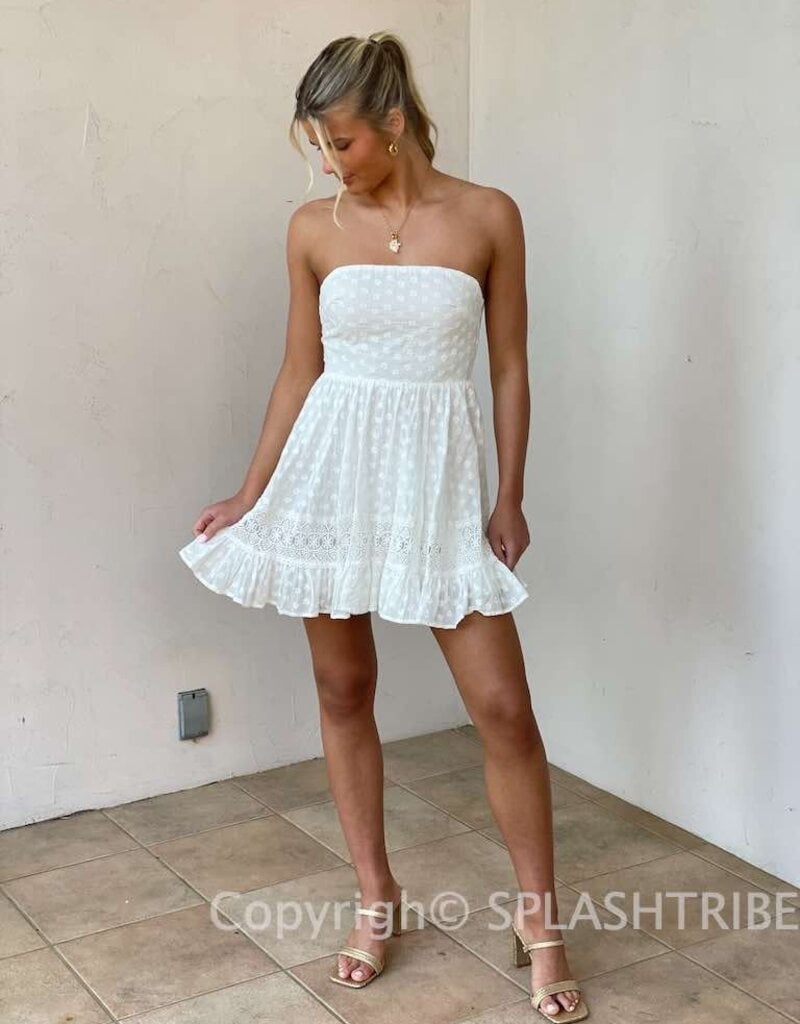 Embroidered Strapless Tie Back Mini Dress