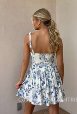 Corset Waist Floral Mini Dress