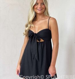 Teagan Tie Front Mini Dress