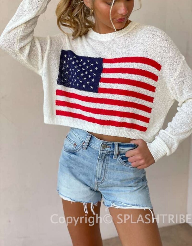 USA Flag Sweater