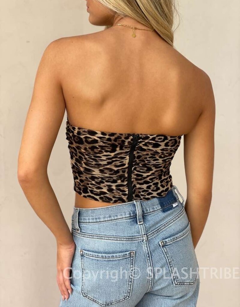 Leopard Mesh Corset Crop Top