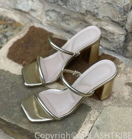 Double Strap Chunky Heels