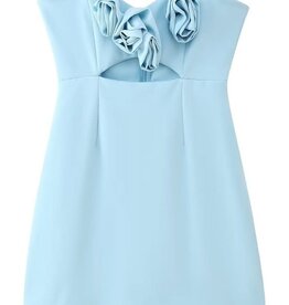 Rosette Cutout Strapless Mini Dress