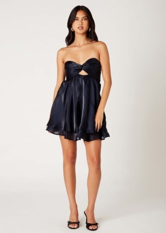 Clayton Organza Strapless Tie Back Mini Dress