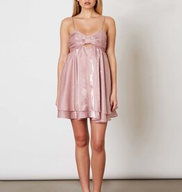 Penni Organza Tie Back Mini Dress