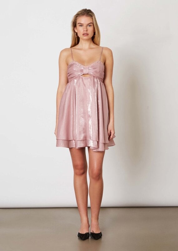 Penni Organza Tie Back Mini Dress