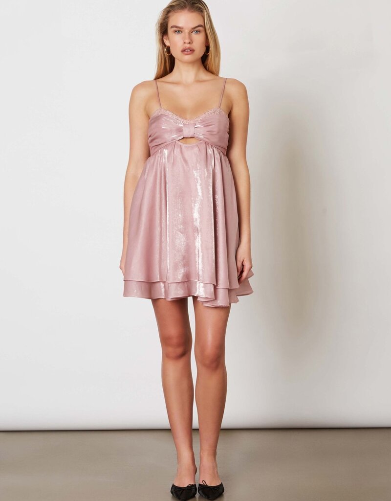 Penni Organza Tie Back Mini Dress