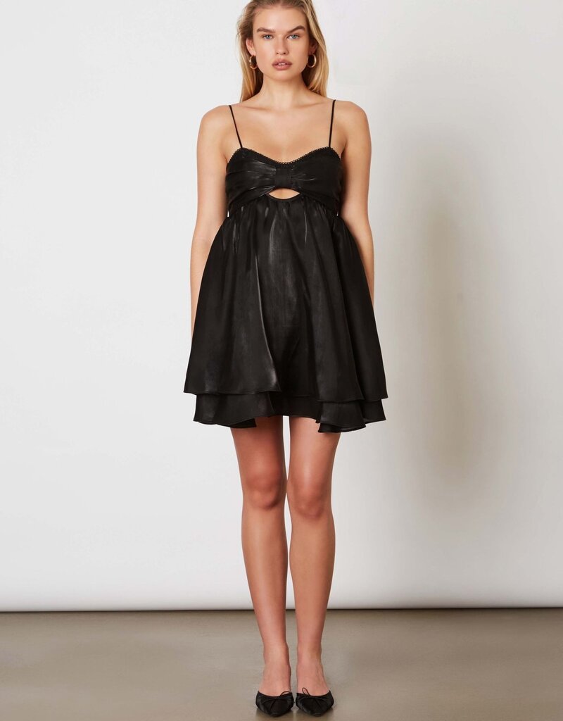 Penni Organza Tie Back Mini Dress